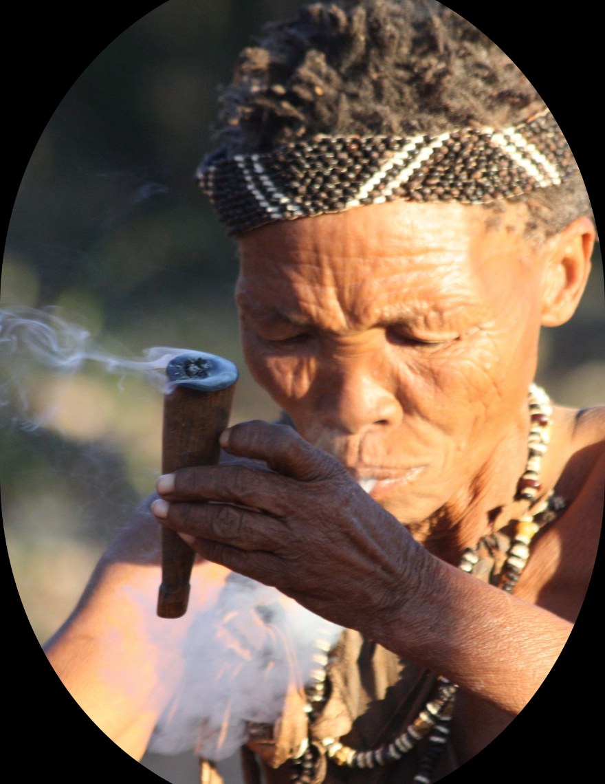 Indigenous & Folk Medicine