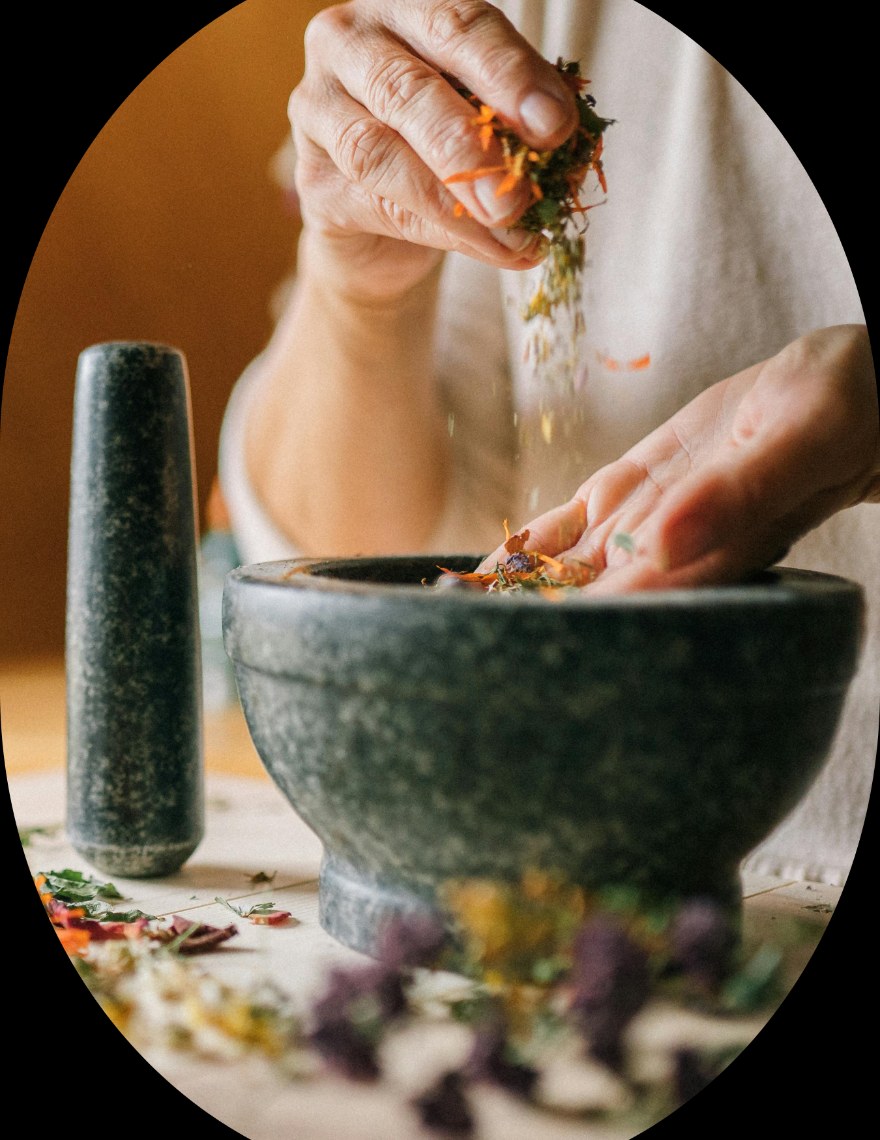 Western Natural Medicine